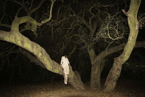 A Tree, In The Middle, At Night, The Middle, A Woman, Flash, Trees, Forest, Photography