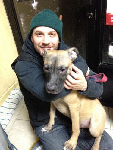 Tom Hardy With Dogs, Tom Hardy Boyfriend Material, Tom Hardy Dog, Tom Hardy Photos, Man And His Dog, Animal Rescue Center, Thomas Hardy, Man And Dog, Henry Cavill