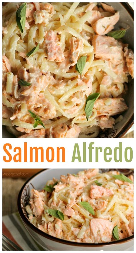 The rich flavor of the fish makes this scrumptious Salmon Alfredo seem more decadent than it really is. Perfect for guests or busy weeknight nights! #salmon #alfredo #pasta Salmon Pasta Casserole, Cajun Salmon Alfredo, Alfredo Salmon, Salmon Alfredo Pasta, Salmon Alfredo, Salmon Pasta Recipes, Creamy Salmon, Cajun Salmon, Pasta Easy