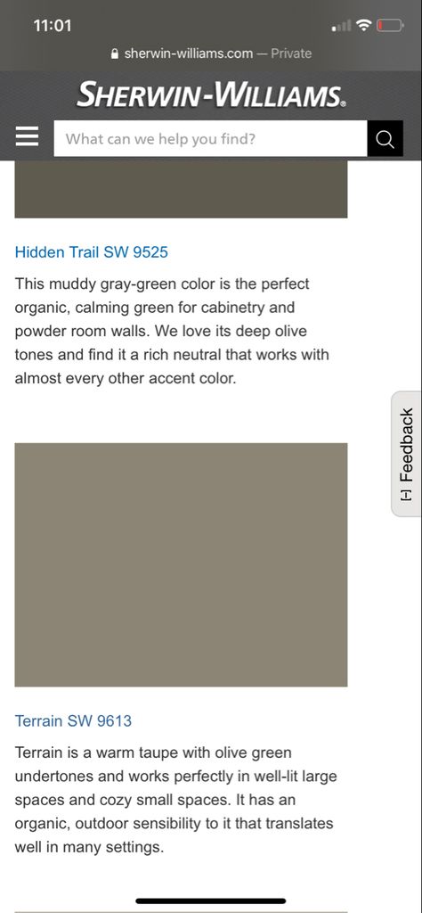 Sw Terrain Paint, Sherwin Williams Terrain, Terrain Sherwin Williams, Terrain Sw Paint, Sherwin Williams Stream, Sherrington Williams Retreat, Sherman Williams Mountain Road, Olive Tone, Paint Swatches