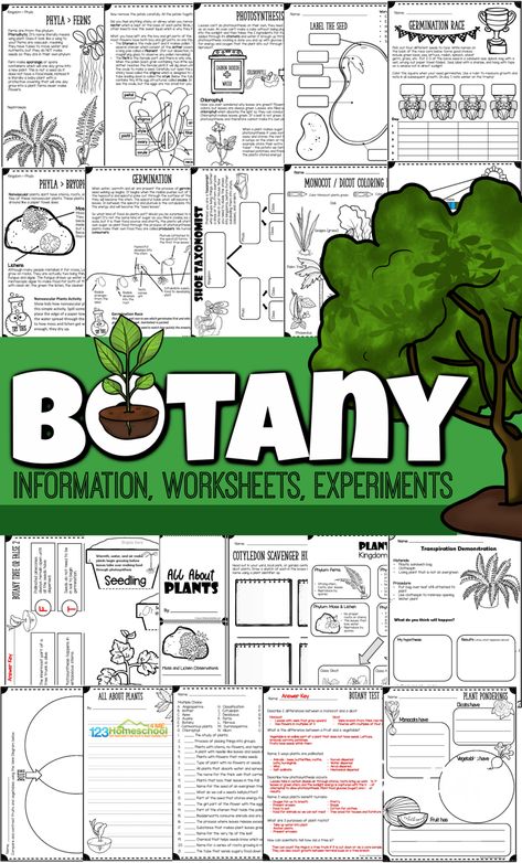 Learn about the amazing plants for kids in our world with this intersting and fun botany lesson for kids! From fascinating facts about plants for kids, plant worksheets, hands-on plant activities, creative plant experiments, and even tests with answer keys to test what your child has learned, you will love this fun printable science lesson for kids! Use this plant lesson with first grade, 2nd grade, 3rd grade, 4th grade, 5th grade, 6th grade, 7th grade, and 8th graders too. Parts Of A Seed, Plant Life Cycle Worksheet, Botany Lessons, Flower Science, Plant Experiments, Plant Lessons, Plants Worksheets, Planting For Kids, Plants Unit