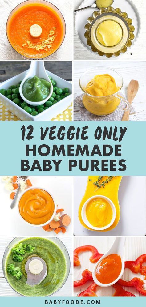 These Vegetable Only Baby Food Purees are a great way to introduce baby to the delicious flavors of vegetables from the very first bite! Get your baby's foodie palette developed early with these easy and delicious purees! They so easy to make and great for a freezer stash! #baby #vegetables Pumpkin Baby Food, Baby Food Vegetables, Baby Food Recipes Stage 1, Baby Purees, Blw Recipes, Making Baby Food, Vegetables For Babies, Diy Baby Food, Easy Baby Food Recipes