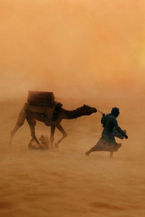 الفن الرقمي, Steve Mccurry, Afrikaanse Kunst, Desert Life, Desert Sand, Arabian Nights, People Of The World, In The Desert, 인물 사진