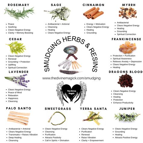 #Smudging #Herbs & #Resins we can use to #cleanse #NegativeEnergies & #attract #PositiveEnergies. #SmudgeSticks #Smudge #Clearing #Cleansing #SacredHerbs #SacredSmoke #Spirituality #EnergyCleansing #Witchy #Witchery #Witchlife #witchesofinstagram Herbs For Smudging, Herbs For Banishing Negativity, Smudging Without Sage, Herbs To Cleanse House, Mexican Medicinal Herbs, Cedar Wood Spiritual Meaning, Types Of Smudge Sticks, Herbs For Transformation, How To Cleanse With Incense