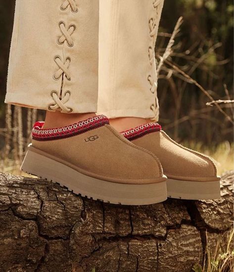 Ugg Tazz, Ugg Tasman Slippers, Ugg Tasman, Clog Slippers, Platform Clogs, Ugg Slippers, Platform Slippers, Timberland Boots, Womens Uggs