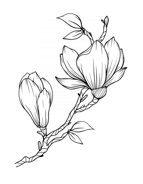 Magnolia Flower Outline Magnolia LIne Art Line Drawing Magnolia Flowers Drawings, Magnolia Ink Drawing, Magnolia Blossom Drawing, Magnolia Flower Design, Magnolia Embroidery Pattern, Magnolia Art Drawing, Drawing Magnolia Flowers, Magnolia Branch Drawing, Magnolia Sketch Drawings