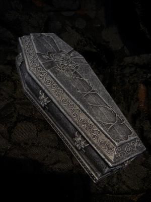 V""V Aesthetic Coffins, Box Monster, Sand Tray Therapy, Coffin Jewelry, Gothic Coffin, Occult Decor, Steampunk Furniture, Tripp Pants, Goth Clothes