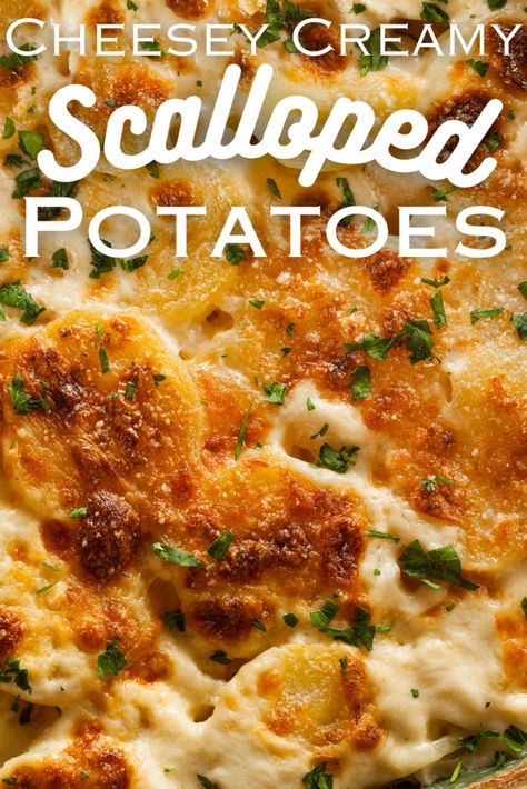 These scalloped potatoes are the perfect addition to your table! This easy recipe is made with russet potatoes, heavy cream, and whole milk, and will impress and satisfy any big family dinner. Enjoy the perfect blend of comfort and flavor with each bite. Your taste buds will thank you! #potatoes The Best Scalloped Potatoes, Cheesy Scalloped Potatoes Recipe, Best Scalloped Potatoes, Scalloped Potatoes Easy, Cheesy Scalloped Potatoes, Scalloped Potato, Scalloped Potatoes Recipe, Irish Potato, Scalloped Potatoes Cheesy