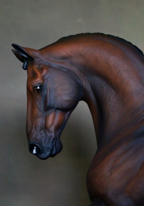 Kate Schick - McDermott David Horse Head Reference, Horse Profile, Horse Anatomy, Horse Inspiration, Eagle Art, African Art Paintings, Horse Face, Most Beautiful Animals, Horse Drawings