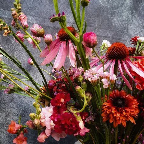 Floral arrangement with homegrown flowers!! #homegarden #homegrown #gardenlife #coolflowers #zone5b #flower #flowers #flowerstalking #flowerlove #flowerlover #flowerart #flowermagic #blooooms #inspiredbypetals #springflowers #springglory #floralphotography #rudbeckia #coneflower #Echinacea #zinnias #statice Floral Photography, Flower Lover, Floral Arrangement, Amazing Flowers, Spring Flowers, Flower Art, Floral Arrangements, Home And Garden, Flowers