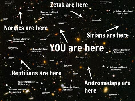 Space, it's friggin aliens out there Zeta Reticuli, Do Aliens Exist, Types Of Aliens, Energy Arts, Reiki Classes, Aliens Exist, Project Blue Book, Secret Space, Aliens And Ufos