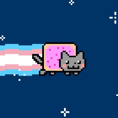 Nyan Cat And Tac Nyan Matching Pfps, Trans Cat Pfp, Nyan Cat Scene, Nyan Cat And Tac Nyan, Nayn Cat, Tac Nyan, Tac Nayn, Trans Pfp, Subtle Wallpaper