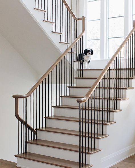 Closed Stringer Stairs, Grand Foyer Staircase, Colonial Stairs, Stairs Classic, French Oak Floors, Railings Stairs, Stair Railing Ideas, Black Stair Railing, Metal Staircase