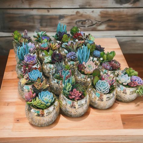 Succulent Arrangements Centerpieces, Landscape Centerpiece Ideas, Succulent And Flower Centerpiece, Succulent Centerpieces Party, Succulent Centerpiece Wedding, Succulent Arrangements Wedding, Succulents Centerpiece, Diy Succulents Centerpiece, Disco Rodeo