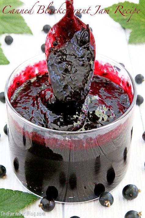 Have you ever tried blackcurrant jam? It's one of my favorite jams. Canned Blackcurrant Jam Recipe is much easier to make than you can imagine.  I have several blackcurrant bushes in my garden. The jam comes into production fairly quickly, if you don't count the harvest time. And with as many kiddo helpers that I have, we tackled one bush in just a few hours and produce 11 pounds of harvest. #blackcurrantjam #homegrownblackcurrant #easyrecipe #gardengrownblackcurrant Blackcurrant Jam, Jam Homemade, Homemade Strawberry Sauce, Produce Recipes, Strawberry Preserves, Sweet Buns, Strawberry Sauce, Jam Recipe, The Jam