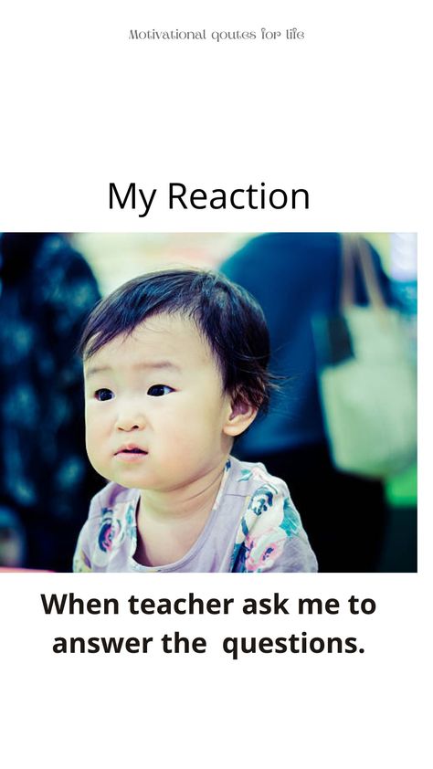 When teacher ask me to answer the question #inspiration #mindset #thoughts #yourself #confidence #change #ask #just #wrong #funny Funny Question To Ask Your Teacher, Question To Ask, My Reaction, Funny Questions, Answer The Question, Questions To Ask, The Question, Ask Me, Funny Jokes