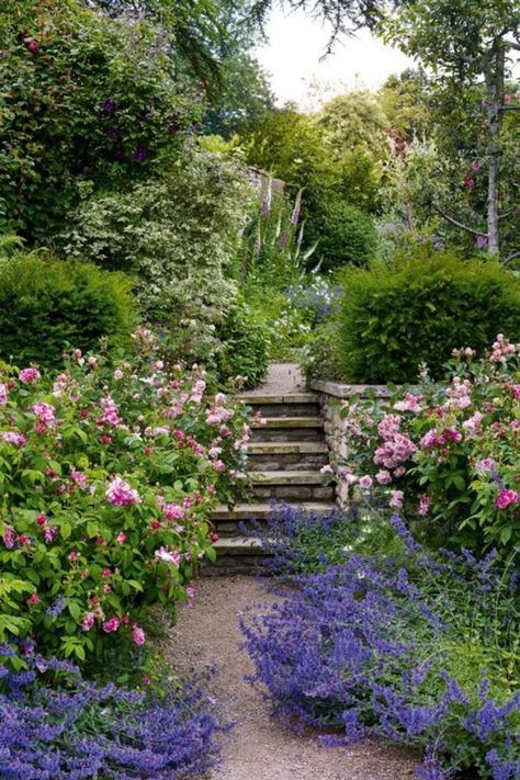 How to Create an English Cottage Garden - Tips + Inspiration - Newbury Home Roses And Salvia, English Estate Gardens, English Cottage Gardens, French Cottage Garden, Gravel Pathway, Garden Uk, Ground Cover Roses, Estate Garden, Cottage Garden Design