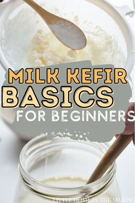 Milk Kefir Recipes, Milk Kefir Grains, Water Kefir Grains, Fermented Dairy, Fermented Milk, Kefir Recipes, Kefir Grains, Water Kefir, Milk Kefir