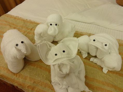 Cruise Towel Animals, Towel Animals, Clean Your Room, The Maid, They Left, Maid Service, Carnival Cruise, The Maids, The Trip