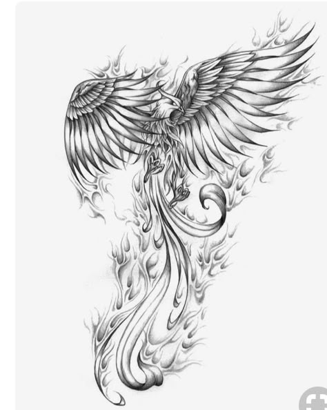 #Tattoos #Design Phoenix Phoenix Fire Tattoo, Tato Phoenix, 천사와 악마, Phoenix Drawing, Phoenix Bird Tattoos, Catrina Tattoo, Kunst Tattoos, Phoenix Tattoo Design, Tattoo Zeichnungen