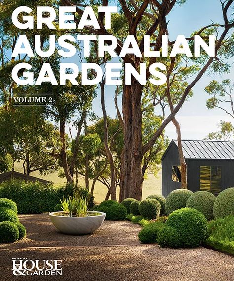 Garden Ideas Australia, Australian Gardens, Australian House, Australian Native Garden, Native Plant Gardening, Australian Garden, Australian Native Plants, Water Wise, Native Garden