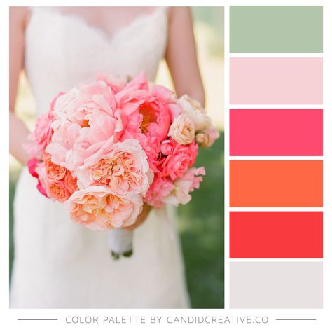 Pink Orange White Green Wedding, Color Palette With Sage Green, Pink Wedding Palette, Norway Wedding, Bright Pink Wedding, Temple Decoration, Pink Green Wedding, Pink Wedding Colors, Olive Wedding