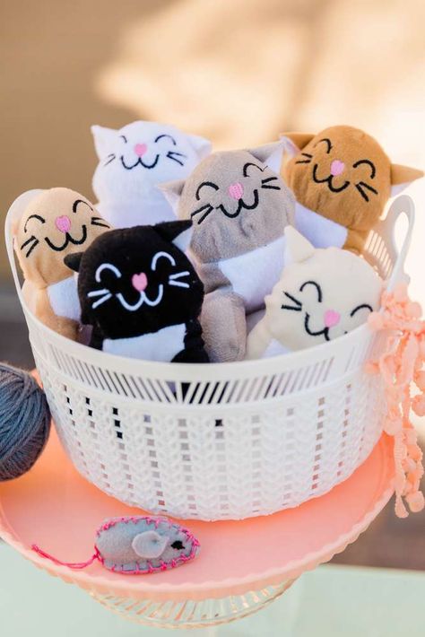 Cats Birthday Party, Happy Birthday Pumpkin, Birthday Party Souvenirs, Toddler Party Favors, Kitten Birthday Party, Birthday Pumpkin, Cat Themed Parties, Cat Themed Birthday Party, Kitten Party