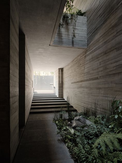 Studio Rick Joy designs concrete apartments Polanco in Mexico City Narrow Staircase, Concrete Walls, House Studio, Exposed Concrete, Light Well, Traditional Building, Brutalist Architecture, Concrete Structure, Concrete Design