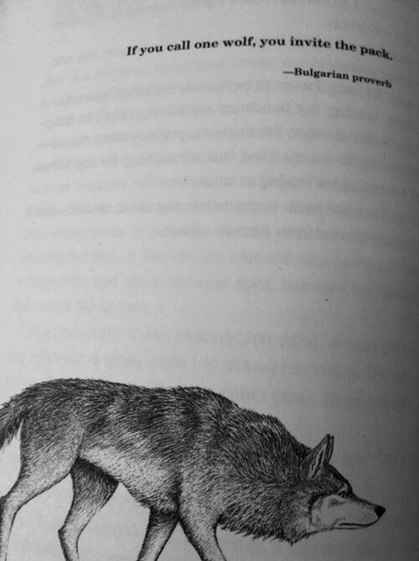 If you call one wolf, you invite the pack. Wolf Quotes, She Wolf, Wolf Love, Lone Wolf, A Wolf, Wolf Pack, Poem Quotes, The Pack, A Quote