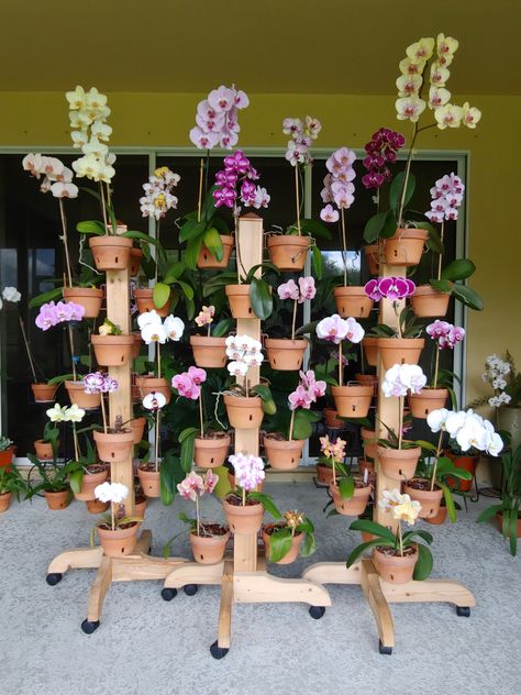 Solid cedar rolling plant stands from hangapot.com Poles come with legs, wheels, cap and 16 Hangapot flower pot hangers. Orchid Stand, Orchid Garden Ideas, Ginger Plants, Indoor Hanging Plants, Best Indoor Hanging Plants, Pot Hangers, Gardening Tips And Tricks, Plants For Beginners, Flower Pot Hanger