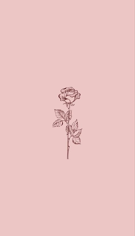 Aesthetic Wallpaper Rose, Widget Iphone, Wallpaper Rosa, Walpapers Cute, Cute Backgrounds For Iphone, Wallpaper Rose, Pretty Wallpapers Tumblr, 4 Tattoo, Aesthetic Roses