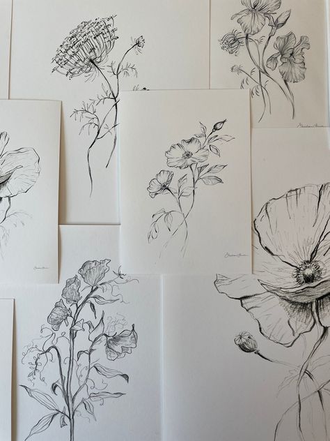 Wild Roses Pencil Drawing Art Print Simple Wildflower Home Decor Illustration Minimal Botanical Wall Artwork Delicate Aesthetic Sketch - Etsy Botanical Wall Stencil, Simple Sketch Ideas Aesthetic, Home Drawing Simple, Nature Pencil Drawings, Simple Flower Sketch, Aesthetics Sketch, Simple Pencil Art, Floral Sketch Drawing, Flower Drawing Pencil