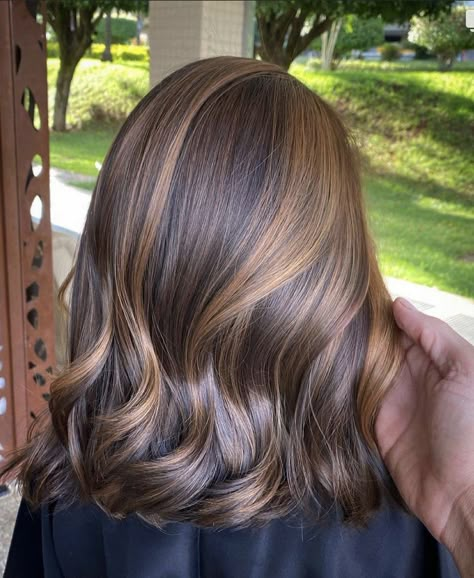 Mousy Brown Hair, Sleek Short Hair, Short Hair Highlights, Honey Brown Hair, Brown Hair Looks, Brunette Hair With Highlights, Caramel Highlights, Brown Hair Balayage, Hair Tutorials For Medium Hair