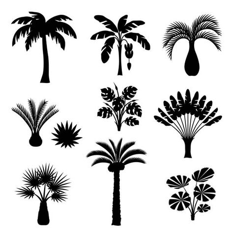 119,075 Palm Tree Illustrations, Royalty-Free Vector Graphics & Clip Art - iStock Tropical Plants Illustration, Palm Tree Icon, Palm Tree Drawing, Jungle Nature, Plants Illustration, Palm Tree Vector, Tropical Palm Trees, Palm Tree Art, Palm Tree Silhouette