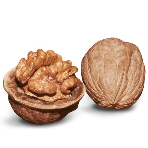 Includes two walnut trees — Stark® Champion™ English and Lake English. Hazelnut Tree, Flavored Nuts, English Walnut, Healthy Nuts, Cholesterol Remedies, Cholesterol Lowering Foods, Walnut Tree, Cholesterol Diet, Organic Fruit