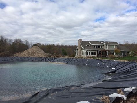 Fish, Swim, and Relax in this 1/2 Acre Backyard Pond! - Wisconsin Lake & Pond Green Ash Tree, Garlic Mustard, Farm Pond, On Golden Pond, Natural Swimming Ponds, Backyard Pond, Pond Fish, Pond Ideas, Swimming Hole