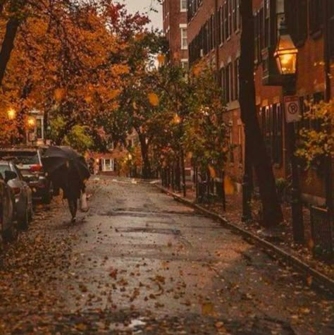 Fall Playlist, Halloween Playlist, Playlist Covers Photos, Summer Shades, Aesthetic Autumn, Fall Is Here, Best Seasons, Fall Aesthetic, We Fall In Love