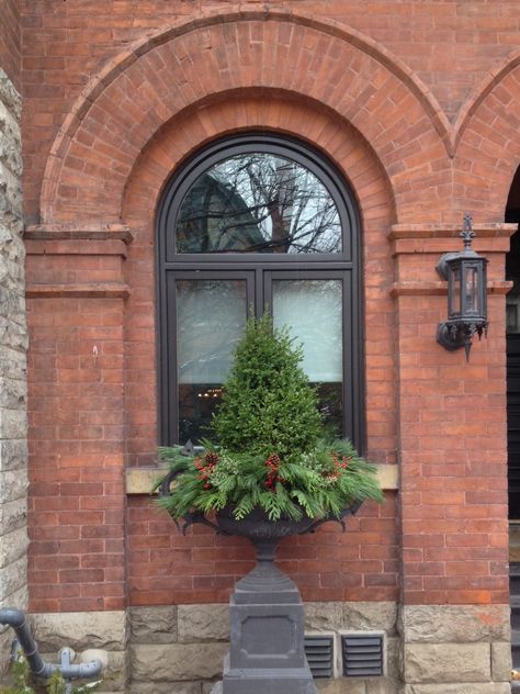 Christmas Boxwood, Wicker Porch Furniture, Winter Containers, Boxwood Tree, Christmas Urns, Outdoor Christmas Planters, Boxwood Balls, Christmas Pots, Winter Porch