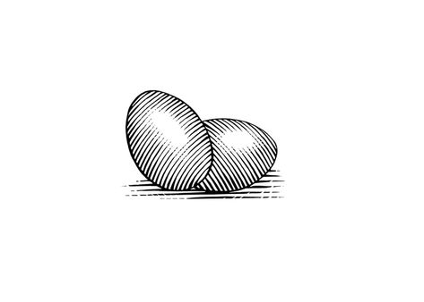 Egg Line Art, Egg Tattoo, Egg Drawing, Scratchboard Illustration, Steven Noble, Eggs Art, Jp Morgan, Egg Art, Stock Art