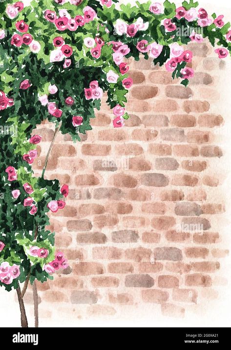 Download this stock image: Brick wall with climbing rose. Hand drawn watercolor illustration and background - 2G0XA21 from Alamy's library of millions of high resolution stock photos, illustrations and vectors. Brick House Painting Canvas, Climbing Roses Illustration, Climbing Roses Painting, Climbing Roses Drawing, Brick Wall Art Ideas, House With Flowers Drawing, Rose Wall Murals Painted, Drawing Brick Wall, Flowers On Wall Painting