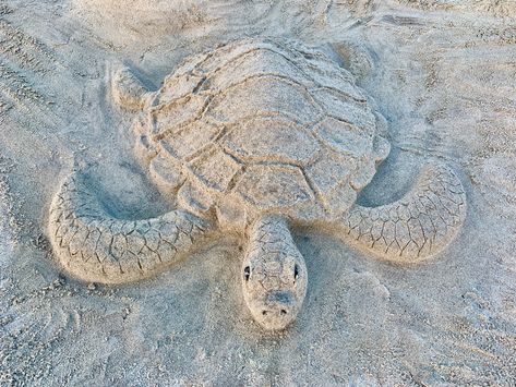 Sea Turtle Sand Sculpture, Sand Turtle, Beach Sand Castles, Beach Sand Art, Sea Sculpture, Sand Castles, Castle Art, Sand Sculptures, Ocean Scenes