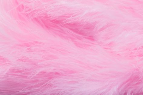 Plumas de ave rosa en estilo suave y bor... | Premium Photo #Freepik #photo #suave #textura-suave #textura-rosa #fondo-rosado Large Angel Wings, Stella Rose, Style Inspiration Classic, Aesthetic Pretty, Premium Photo, Pink Aesthetic, Angel Wings, Fancy Dress, Cosplay Costumes