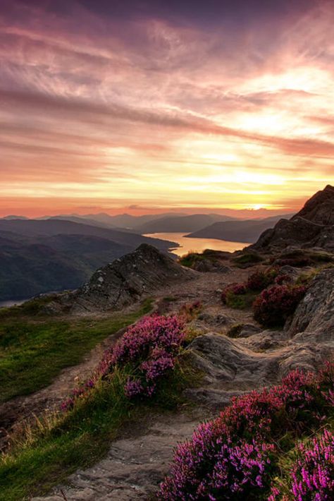 Scotland Nature Aesthetic, Rahne Sinclair, Scottish Folklore, Scotland Nature, Scotland Food, Scotland Aesthetic, Scotland Vacation, Scotland Landscape, Purple Things