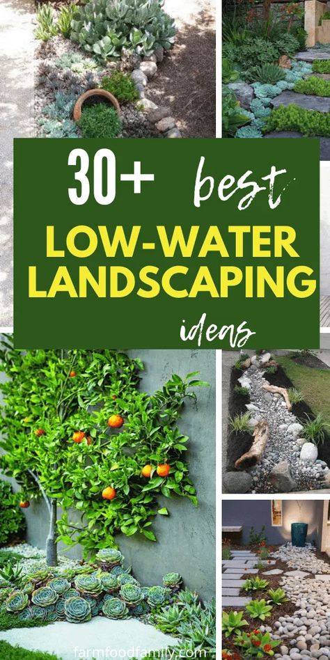 Water Resistant Landscaping, Landscape Ideas Beach, Waterless Garden Ideas, Water Garden Ideas Landscaping, Water Wise Garden, Low Water Landscaping Front Yard, Water Saving Landscape, Landscape Garden Ideas, Waterwise Landscaping