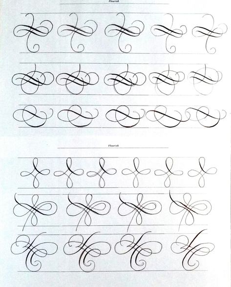 Flourish Calligraphy, Calligraphy Worksheet, Calligraphy Fonts Alphabet, Pointed Pen Calligraphy, Calligraphy Tutorial, Calligraphy Ideas, Copperplate Calligraphy, Calligraphy Drawing, Calligraphy For Beginners