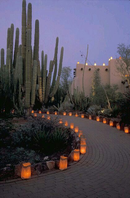 Garden Train, نباتات منزلية, Desert Botanical Garden, Desert Garden, Desert Homes, Cactus Garden, Swansea, Desert Landscaping, Holiday Lights