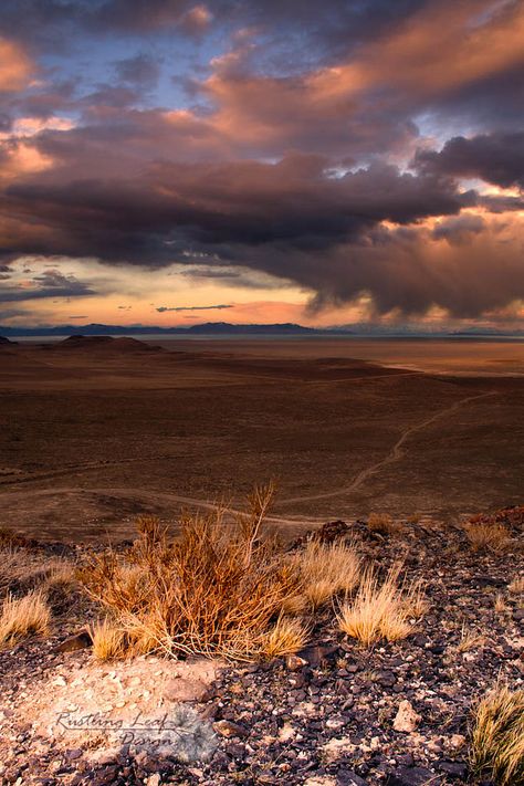 Storm In The Desert, Desert Storm Aesthetic, Desert Witch Aesthetic, Desert Home Aesthetic, Dark Desert Aesthetic, Desert Gothic, Southwest Gothic, Desert Witch, Cowboy Core