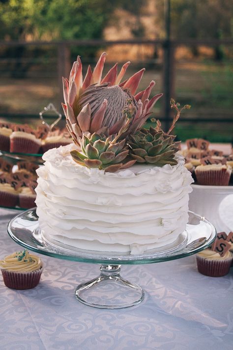 Red velvet cake with ruffles, a King Protea and Echeveria by @Angel Kittiyachavalit's Weddings #gingergoosewedding Cake With Protea Flower, Protea And Succulent Wedding, Protea Wedding Cake, Wedding Cake Protea, Red Velvet Cake Ideas, Protea Cake, Wedding Decorations Red, Doughnut Stand, Gay Wedding Cakes