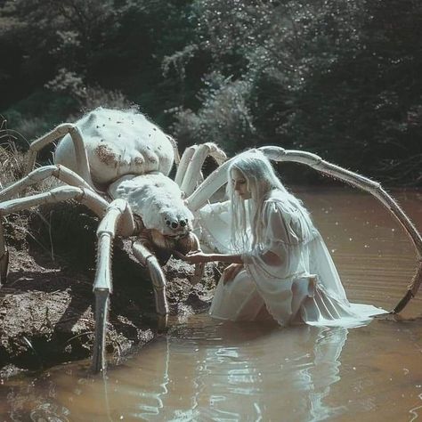 Giant Spider Art, Folk Horror Aesthetic, Giant Aesthetic, Creepy Nature, Gotik Tattoo, Creepy Spider, Arte Peculiar, 다크 판타지, Creepy Art