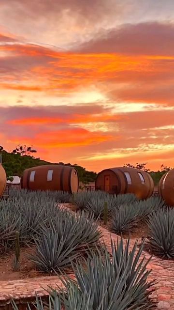 BEAUTIFUL HOTELS on Instagram: "Did you know there's a town called Tequila, Mexico? 🤯🇲🇽 Watch @diariesofatravelista's tour of the world’s first hotel to be located in a tequila factory. 🍸 Come spend a night sleeping in a giant tequila barrel at the Matices Hotel de Barricas! Get to know the true spirit of this all-time favorite drink. 😌 𝐎𝐧 𝐘𝐨𝐮𝐫 𝐒𝐭𝐚𝐲: • Be greeted with a tequila welcome drink at check-in, while a mini-bar is also stocked with 6 varieties of tequila produced in the Tequila Mexico, Mexico Tourism, Ao Nang Beach, Koh Samui Beach, Barrel Room, Railay Beach, Beach Cocktails, Koh Chang, Thailand Beaches